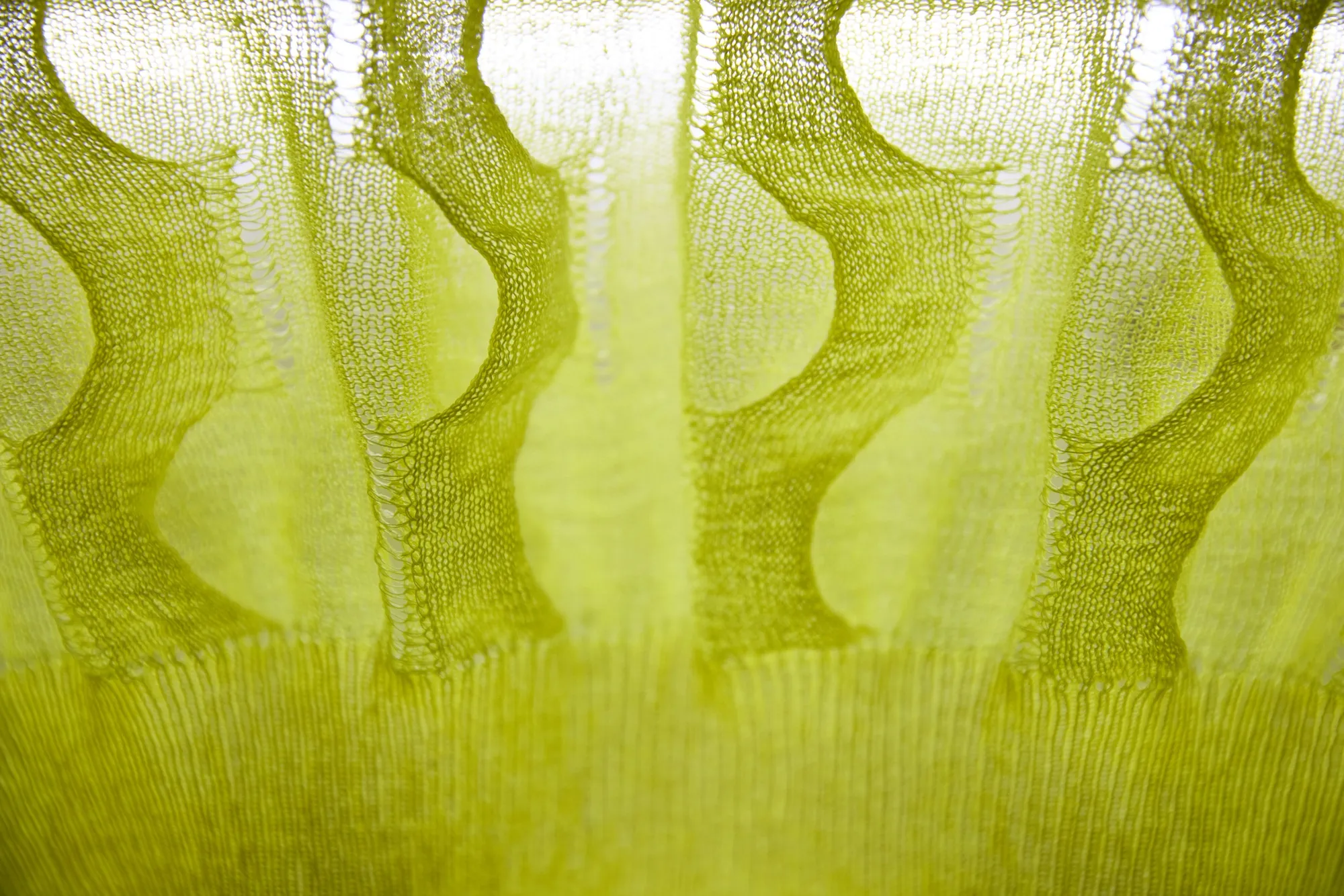Color Swatch Knitewear