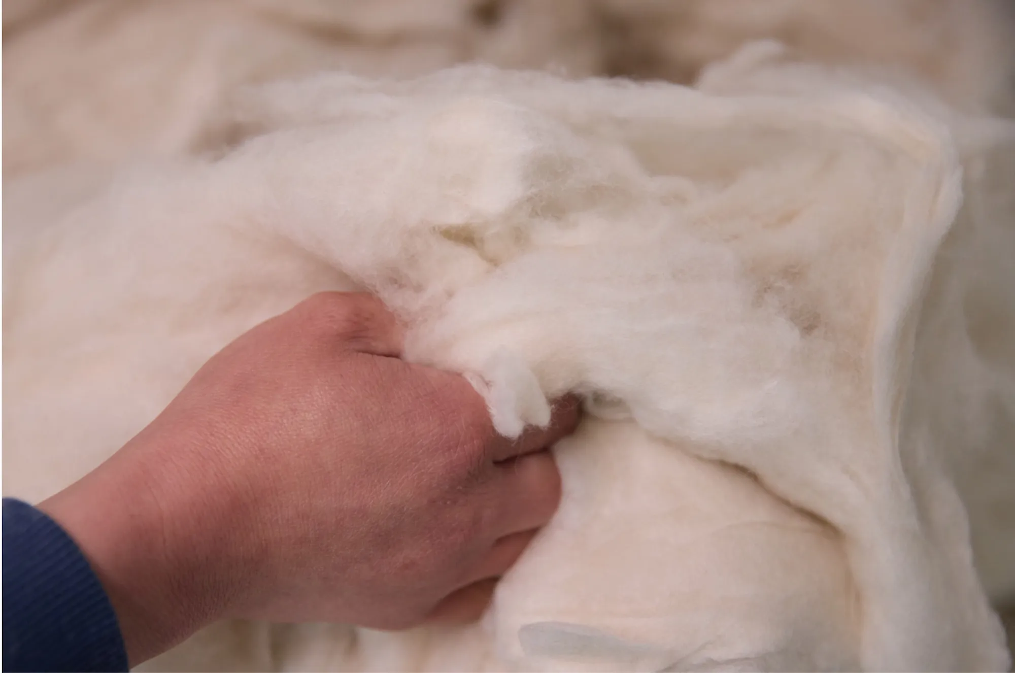 Dehairing Facility fiber processing
